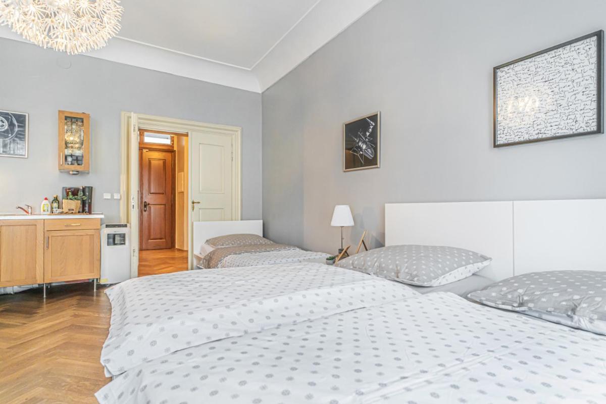 Bright Studio Close To Charles Bridge And Castle Apartmán