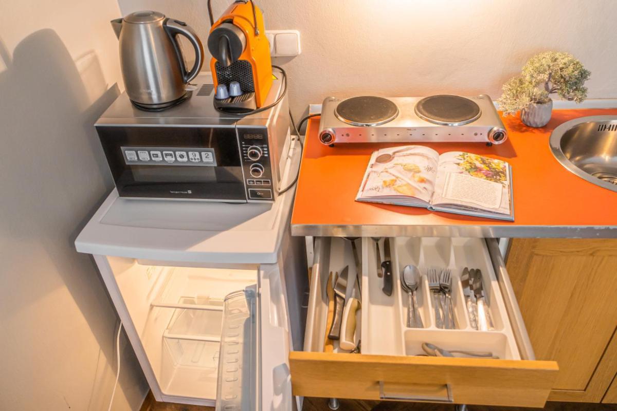 Bright Studio Close To Charles Bridge And Castle Apartment Prag